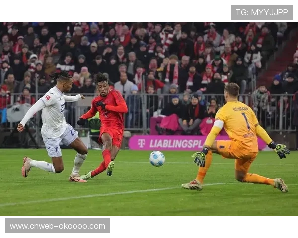 拜仁主场火力全开,沃尔夫斯堡客场难破魔咒 拜仁主场火力全开,沃尔夫斯堡客场难破魔咒