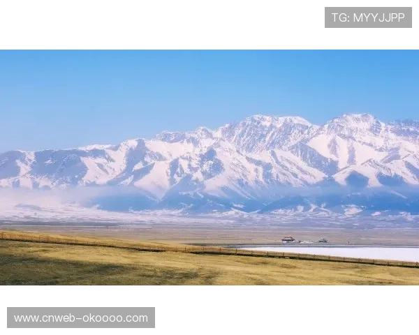 新疆后三节打出77-35攻击波，四川崩盘